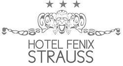 Logo Hotel Fenix Strauss - Jelenia Góra - logo